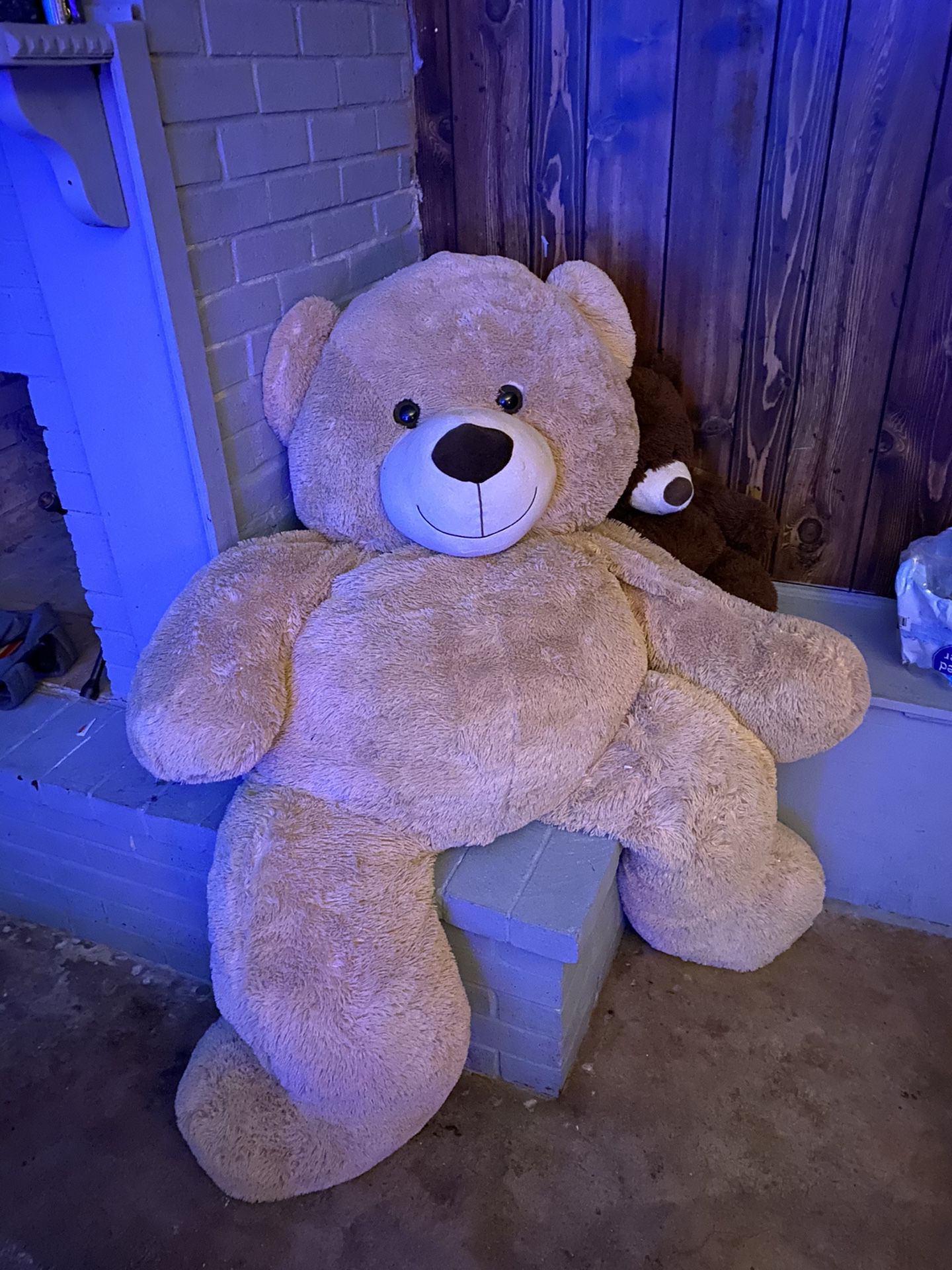 BIG TEDDY BEAR