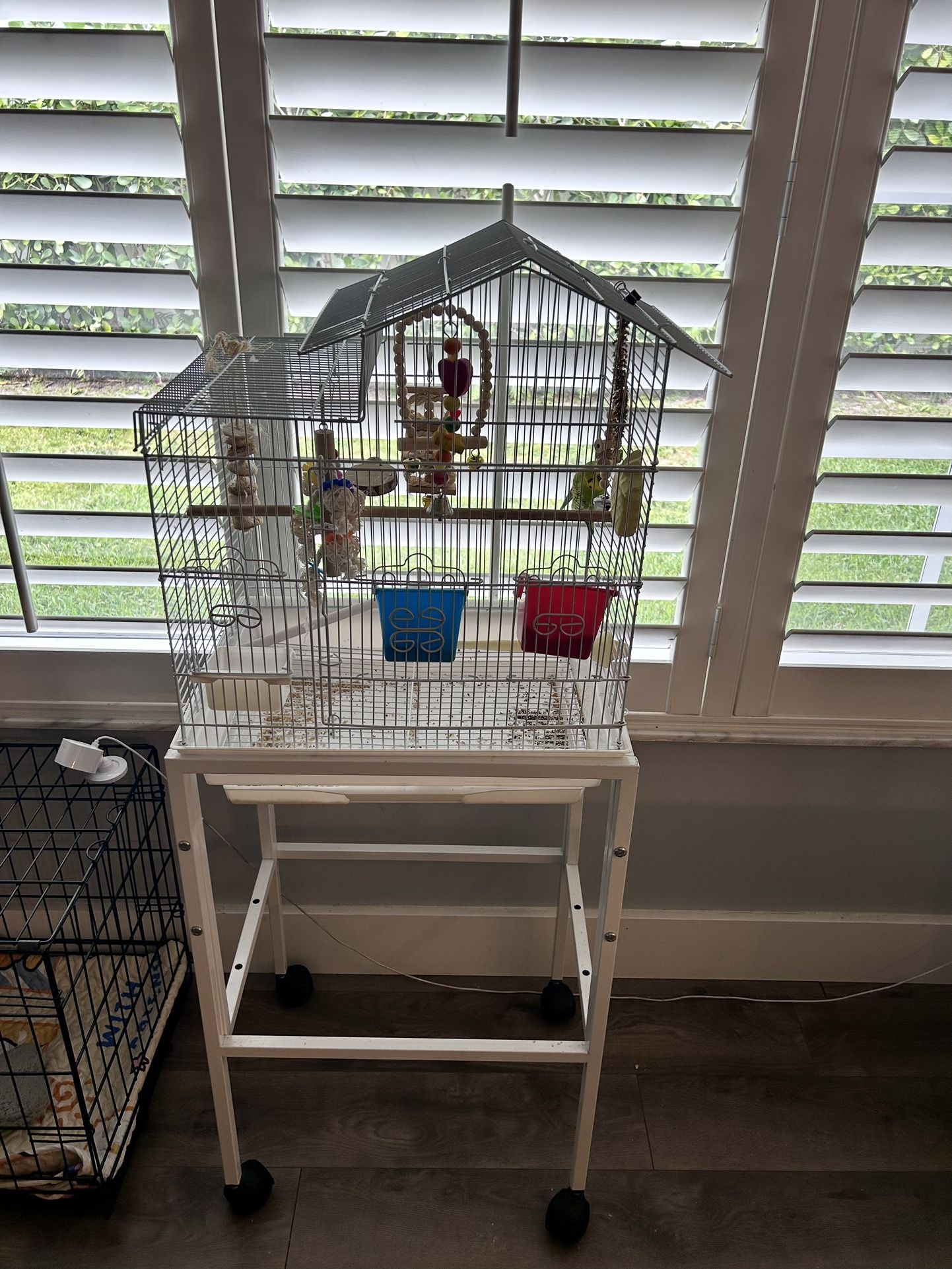 Bird Cage With Parakeet Included 