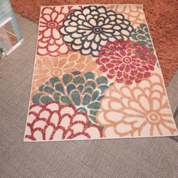 Colorful 4 x 6 Area Rug (Brand New)
