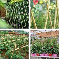 3 Foot Bamboo Stakes For Gardens & DIY