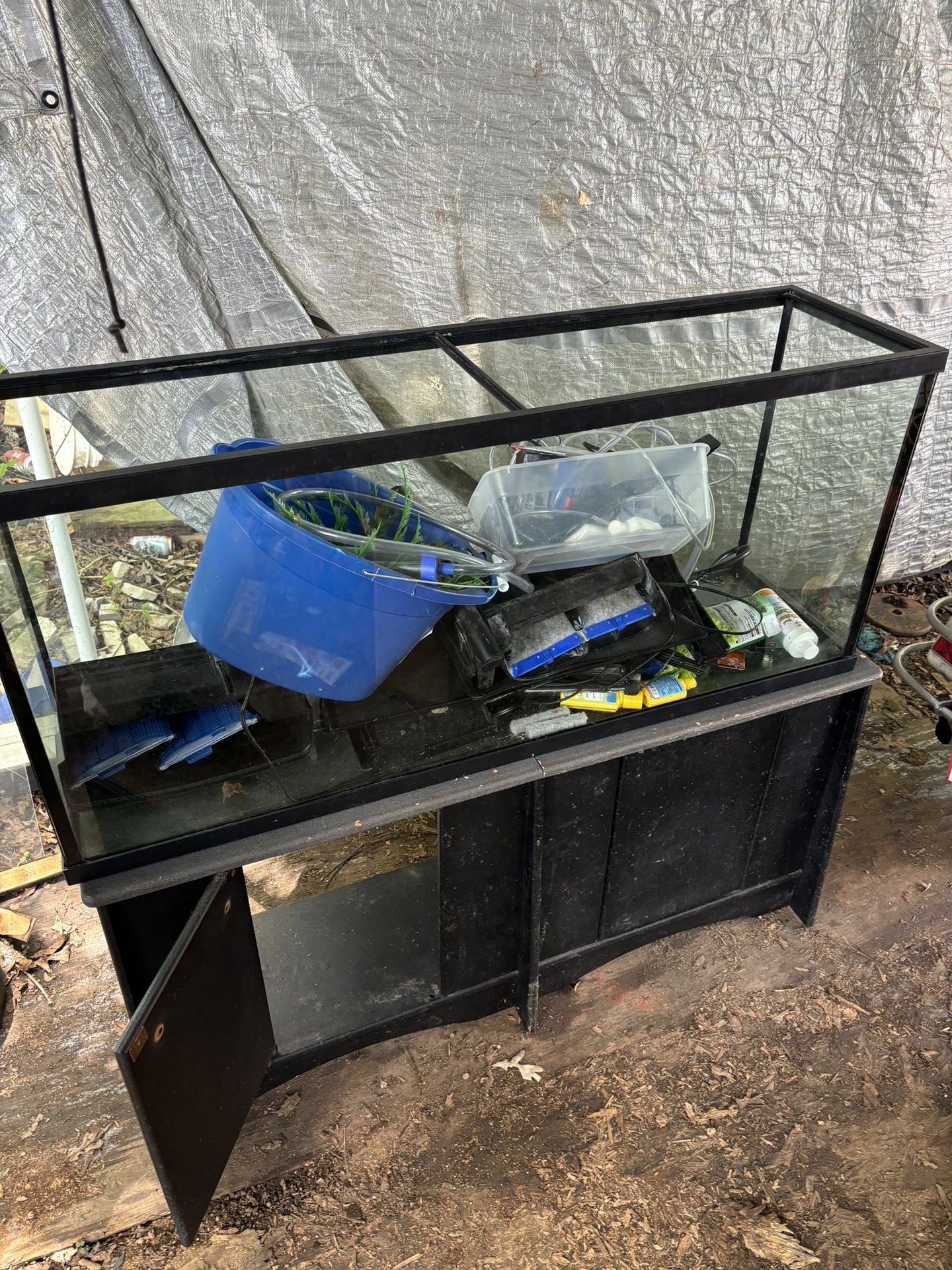55 Gallon Aquarium