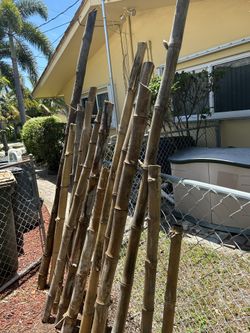 Bamboo Poles
