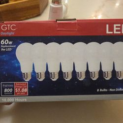8 Led Bulb 60W Daylight 5000k GTC 800 Lumens