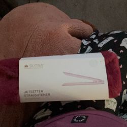 Jet Setter Straighter Mini Traveler Flat Iron New