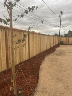 Wood Fencing 