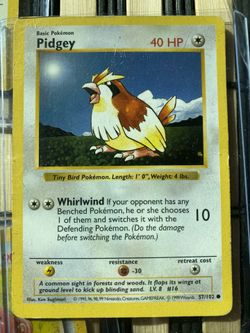 Pidgey Shadowless Pokémon