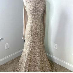  Alex Evenings Sleeveless Fit & Flare Dress w/Sequin Detail & Matching Shawl