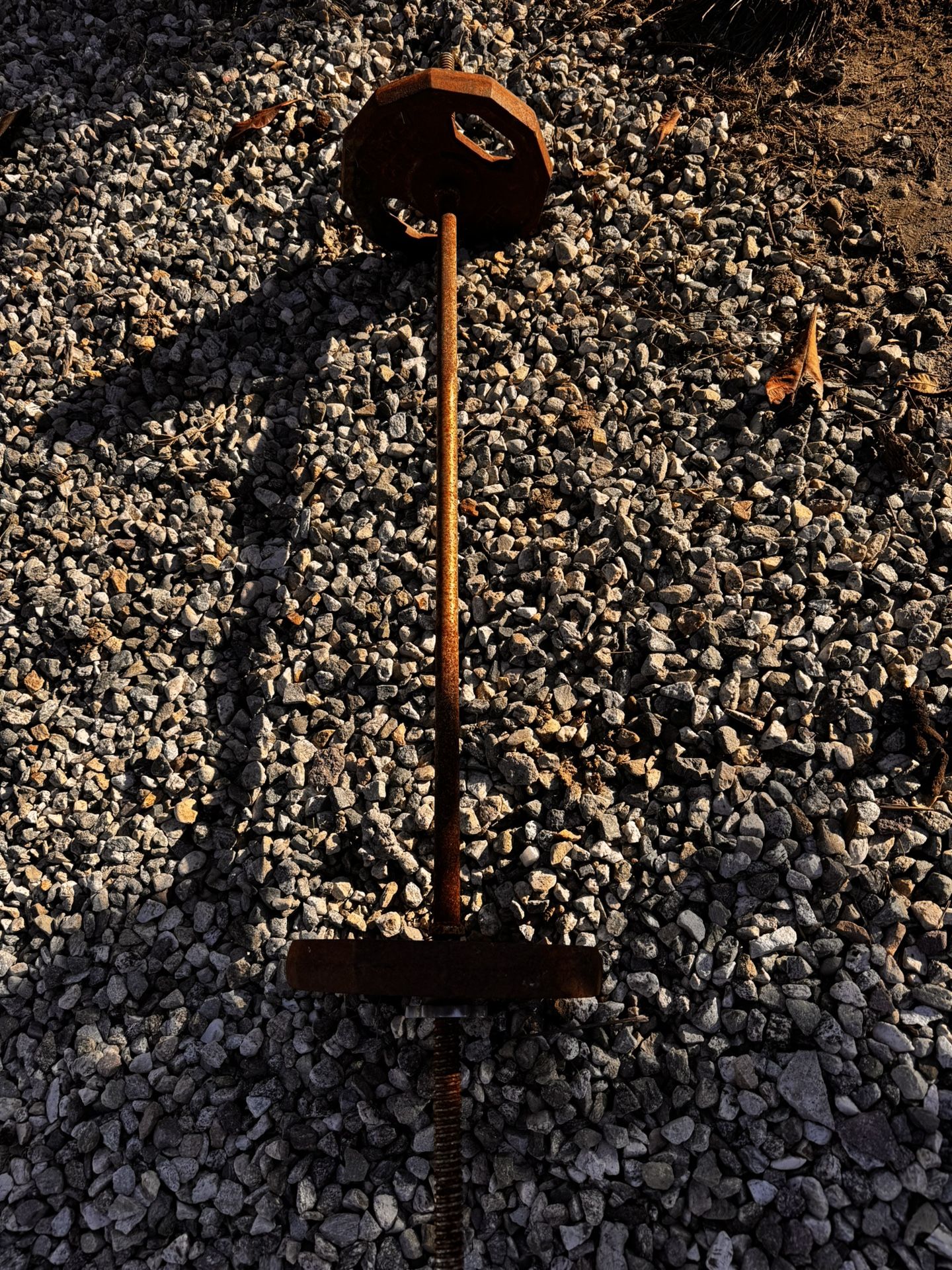 Mini Curling Bar With Weights