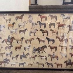 Horse chart picture with frame