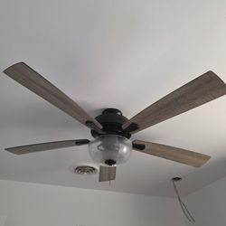 Ceiling Fan
