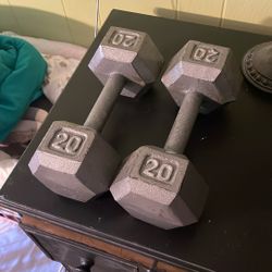 20lb Dumbbell Set