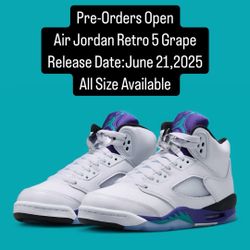 Air Jordan Retro 5 Grape