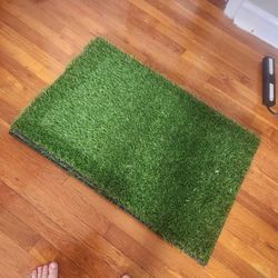 Doggy Grass Patch