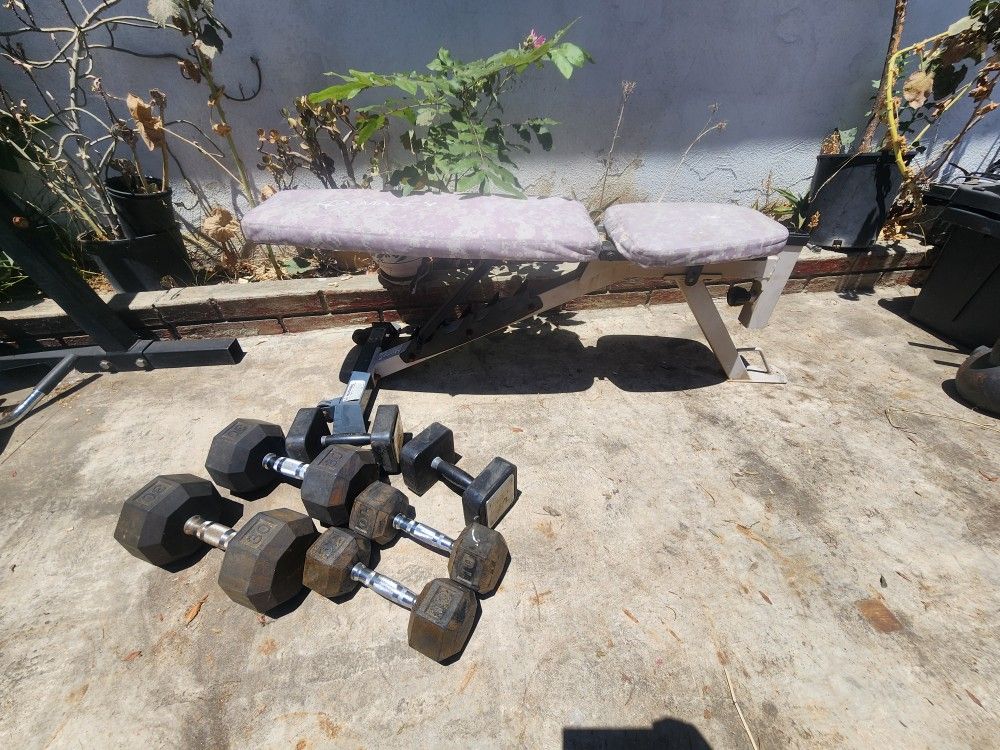 Dumbbells And Bench