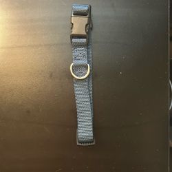 Puppy Collar