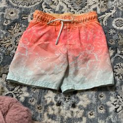Toddler Boy Shorts 2T
