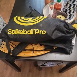 Spike ball Pro 