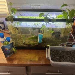 Fish Tank