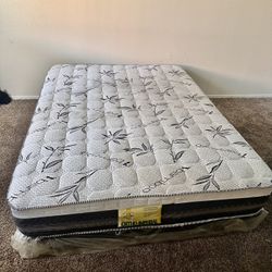 Box Spring And Mattress