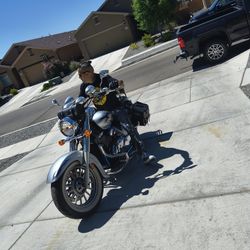 Bulavrd Cruiser 2008