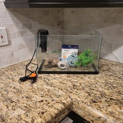 5 Gallon Fish Tank With Filter/ Filter Cartridge/ Decor ( Rocks  & Plants)