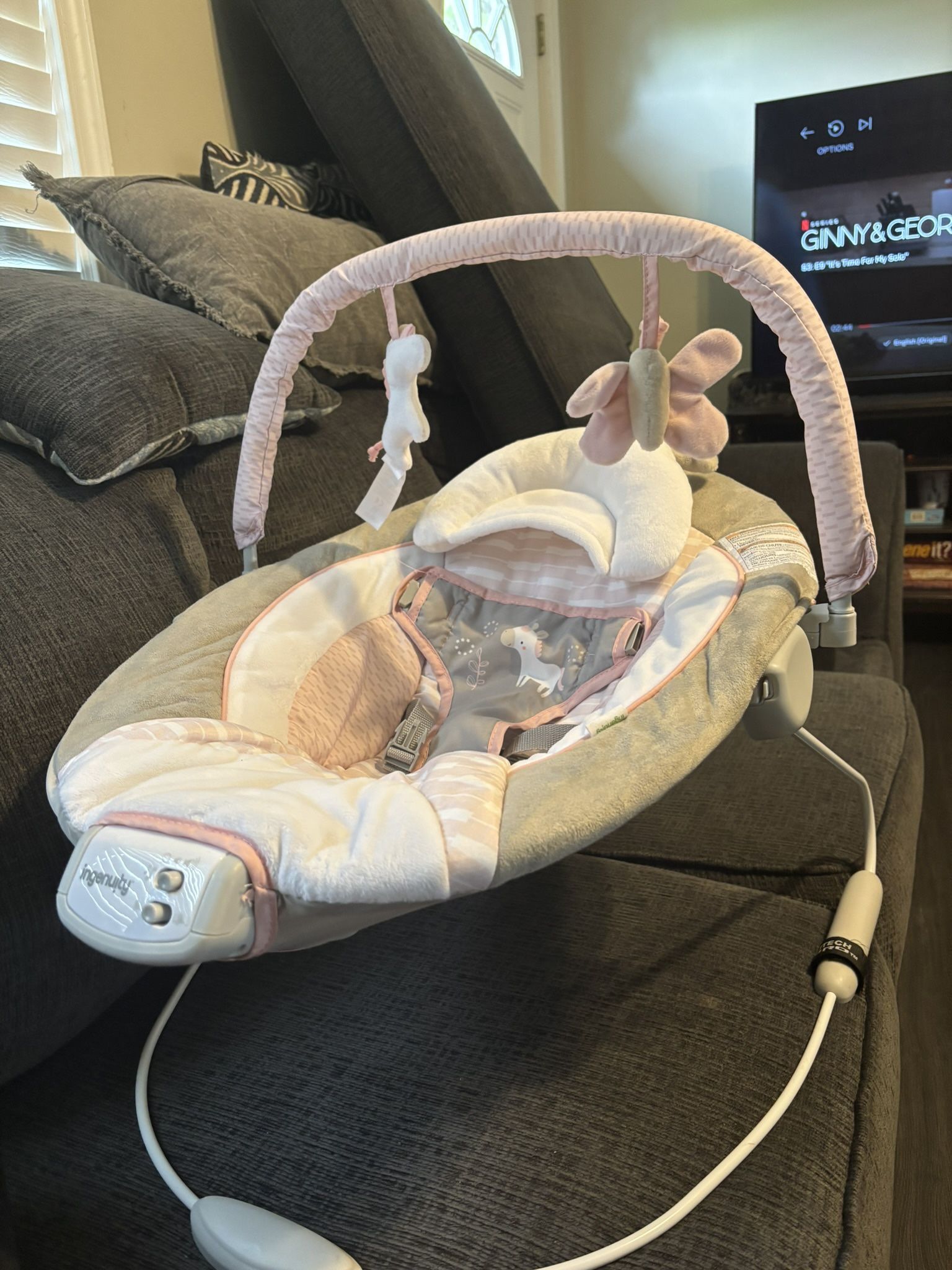 Ingenuity Baby Bouncer