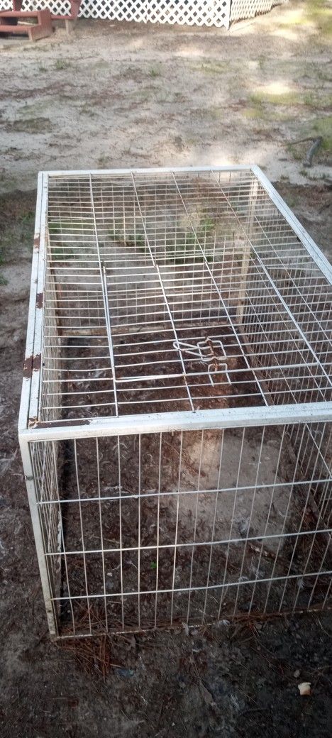 Dog run