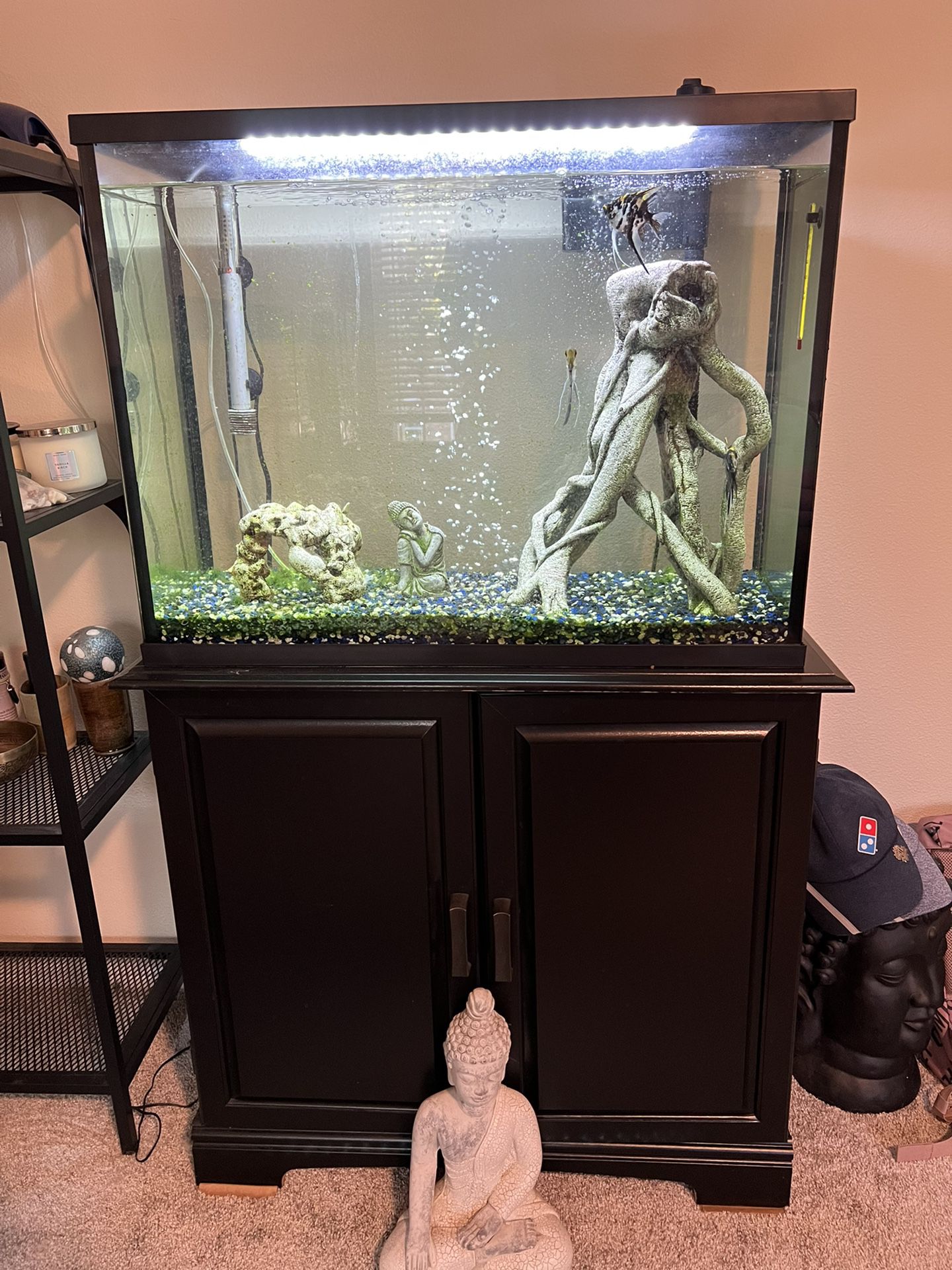 Aquarium And Fish Tank Accessories 