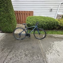 Giant Escape Disc 21 Speed