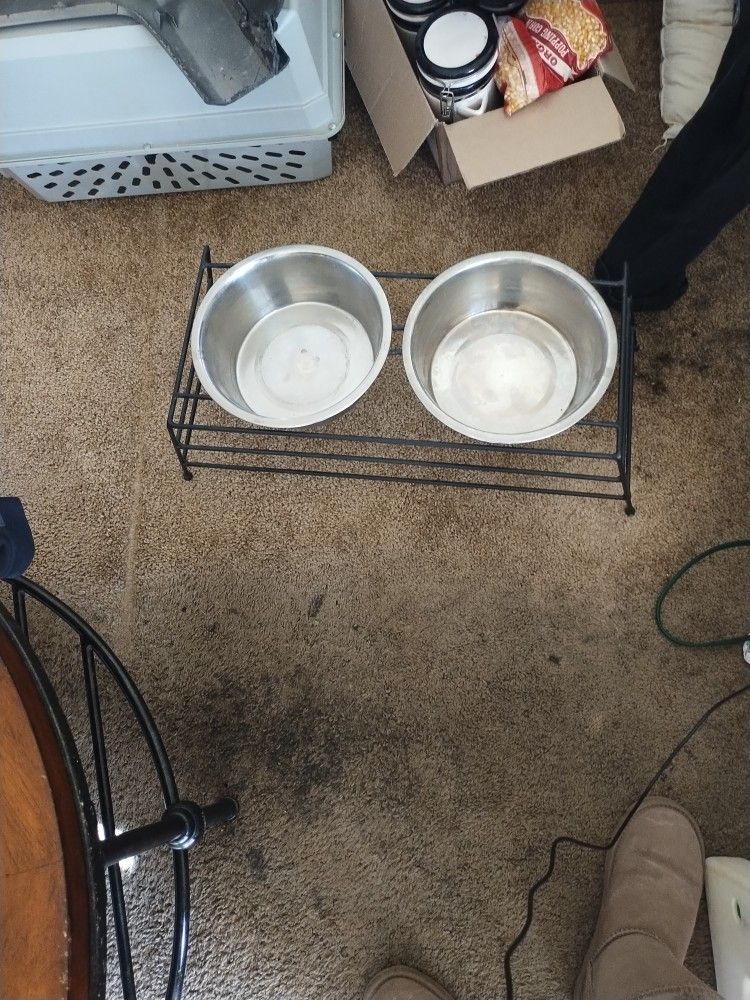 Stand And 2 Dog Bowls