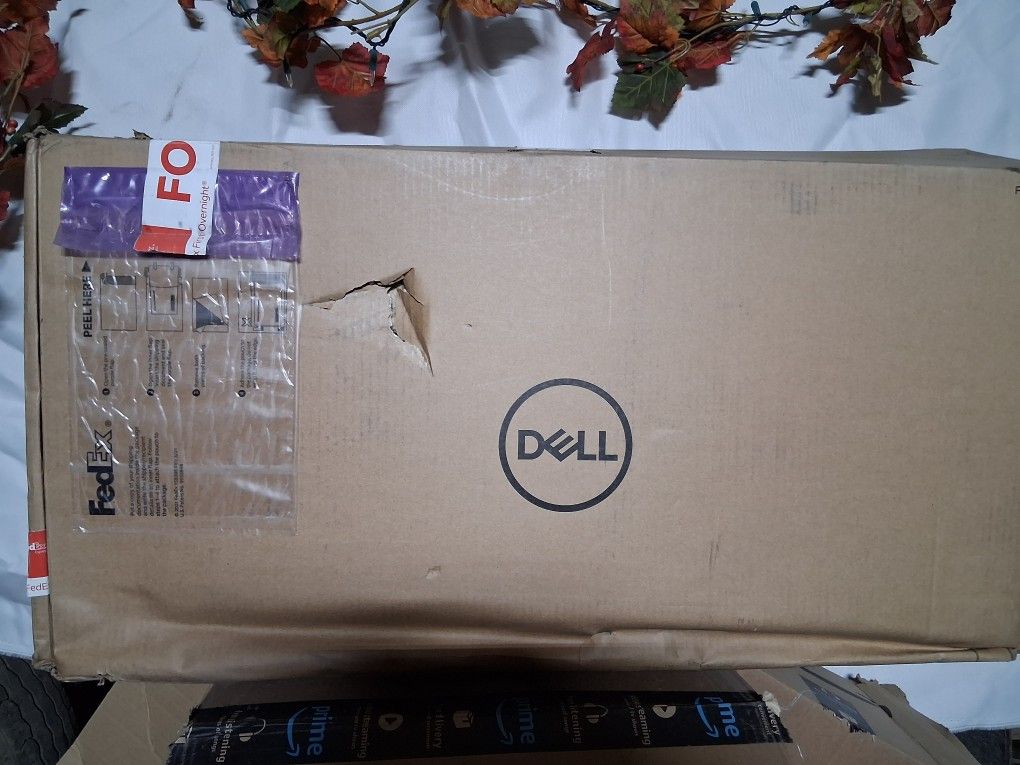 Dell Monitor