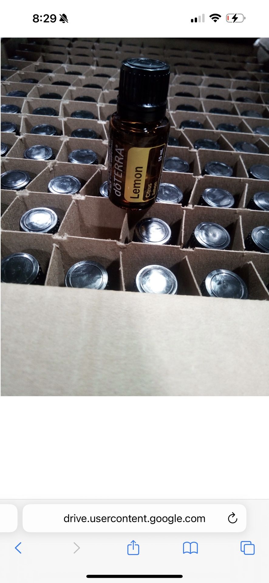 Dottera lemon 15 mL 260 case