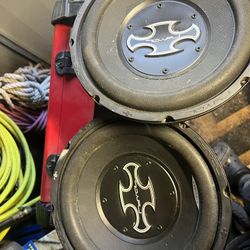 Ryval 10” Subwoofers (2)