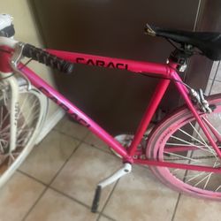 Mountain Bicycle Tires And Rims 