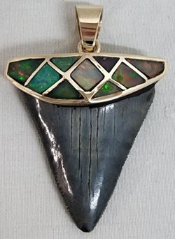 14K Yellow Gold Pendant Natural Black Opal wShark Tooth