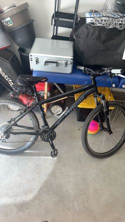Mountain bike