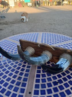 Bull horn