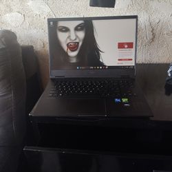Omen Hp Gaming Laptop.