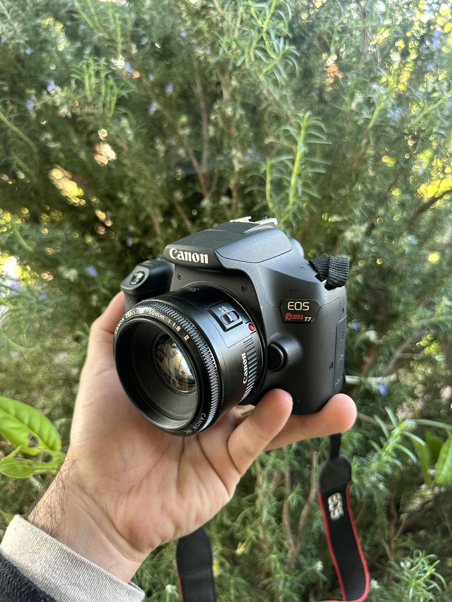 Photography Canon Rebel T7 T7 Dslr Canon Rebel T7 50mm Lens Canon