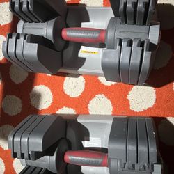 Weight Adjustable dumbbells 5-45lbs