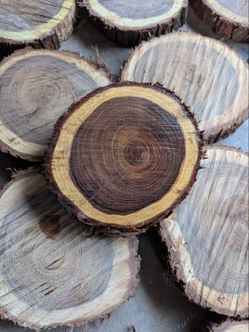 Small Mesquite Wood Rounds
