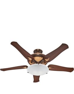 Hunter 23298 Ranier 2-Light 60-Inch Five-Blade Ceiling Fan with Frosted Globe, Amber Bronze