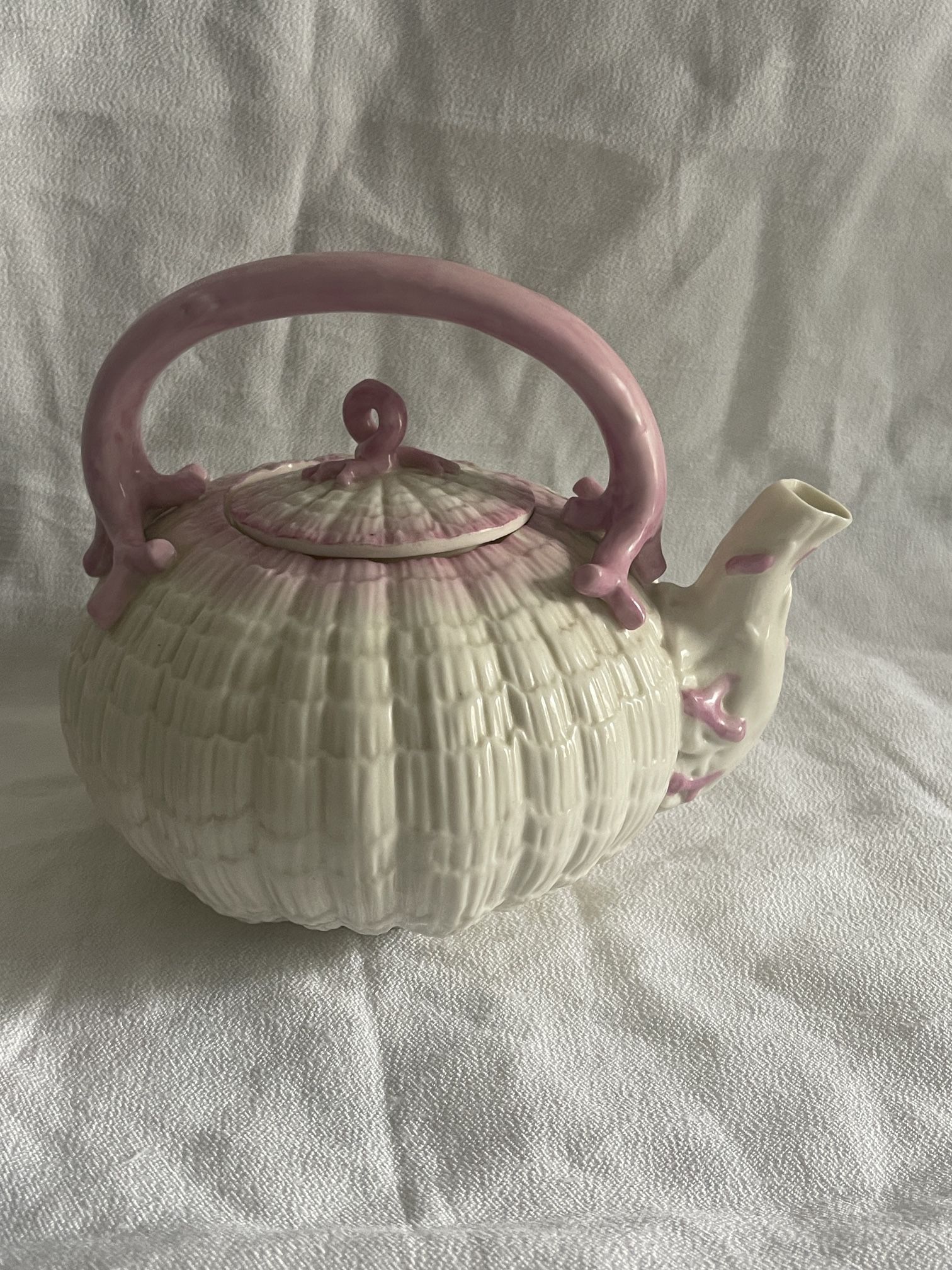Beautiful Rare Belleek First Black Mark Pink Tridacna...