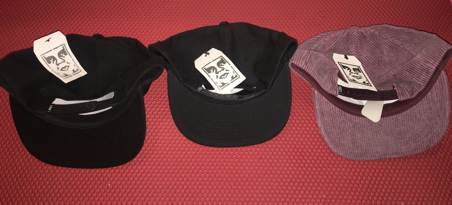 Obey