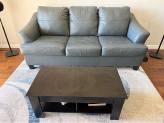 Couch and coffee table