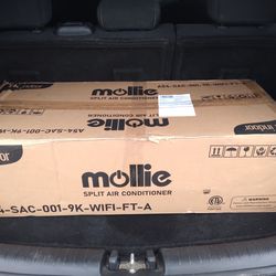 Mollie Mini Split 9kbtu