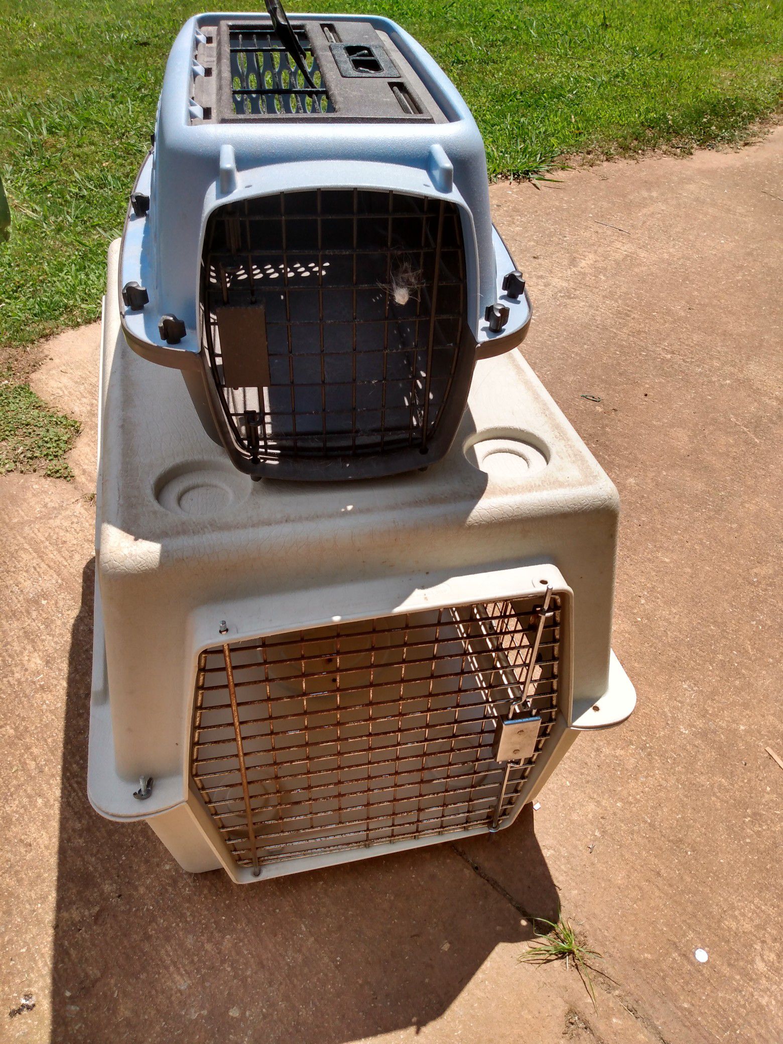 Small dog kennel carrier medium
