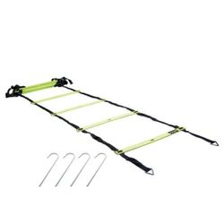 Sports Training Ladder