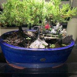Bonsai With River Lake Crossing Serene Relaxing 