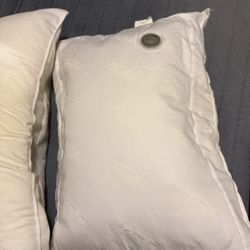 Water Pillows